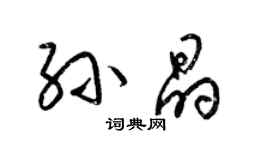 梁錦英孫晶草書個性簽名怎么寫