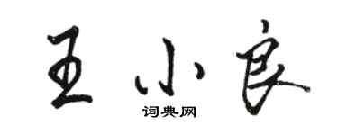 駱恆光王小良行書個性簽名怎么寫