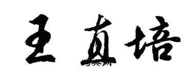 胡問遂王直培行書個性簽名怎么寫