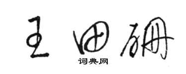 駱恆光王田硼草書個性簽名怎么寫