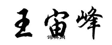 胡問遂王宙峰行書個性簽名怎么寫