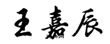 胡問遂王嘉辰行書個性簽名怎么寫