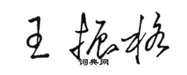駱恆光王振格草書個性簽名怎么寫