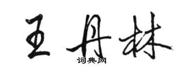 駱恆光王丹林行書個性簽名怎么寫