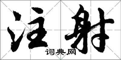 胡問遂注射行書怎么寫