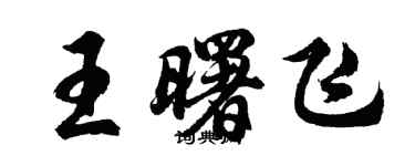 胡問遂王曙飛行書個性簽名怎么寫