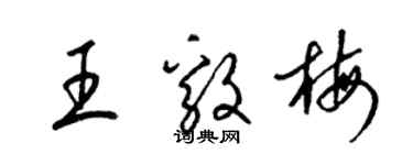 梁錦英王毅梅草書個性簽名怎么寫