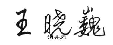 駱恆光王曉巍行書個性簽名怎么寫