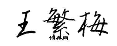 王正良王繁梅行書個性簽名怎么寫