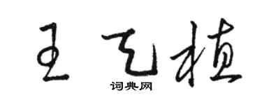 駱恆光王天植草書個性簽名怎么寫