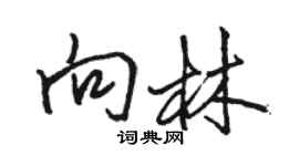 駱恆光向林行書個性簽名怎么寫