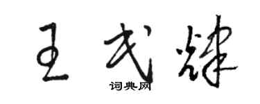 駱恆光王民輝草書個性簽名怎么寫