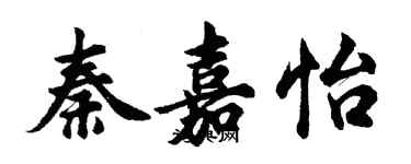 胡問遂秦嘉怡行書個性簽名怎么寫