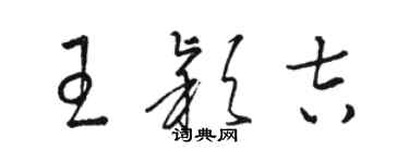 駱恆光王穎吉草書個性簽名怎么寫