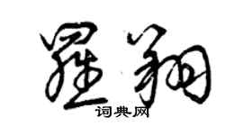 曾慶福羅翔草書個性簽名怎么寫
