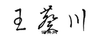 駱恆光王葵川草書個性簽名怎么寫