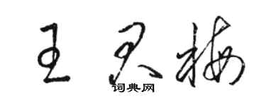 駱恆光王君梅草書個性簽名怎么寫