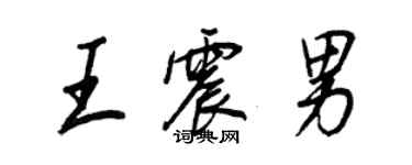 王正良王震男行書個性簽名怎么寫