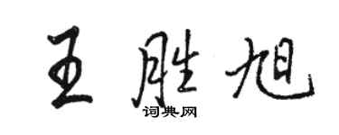 駱恆光王勝旭行書個性簽名怎么寫