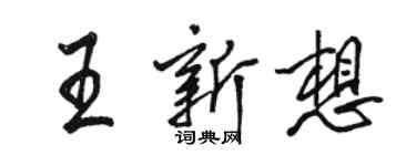 駱恆光王新想行書個性簽名怎么寫
