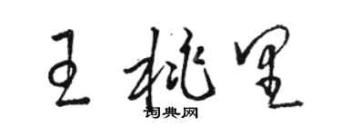 駱恆光王桃里草書個性簽名怎么寫