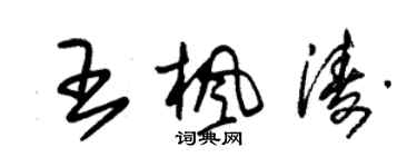 朱錫榮王楓濤草書個性簽名怎么寫