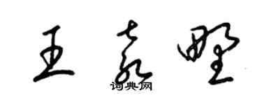 梁錦英王袁野草書個性簽名怎么寫