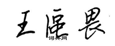 王正良王區畏行書個性簽名怎么寫