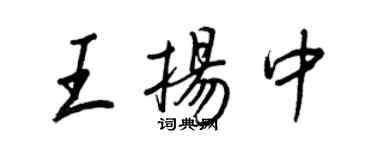 王正良王揚中行書個性簽名怎么寫