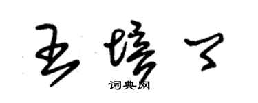 朱錫榮王培卿草書個性簽名怎么寫