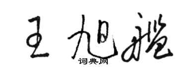 駱恆光王旭艦草書個性簽名怎么寫