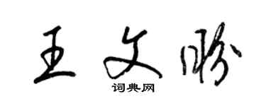 梁錦英王文盼草書個性簽名怎么寫