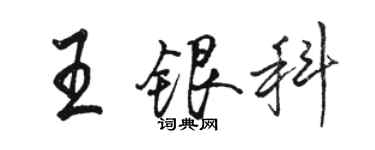 駱恆光王銀科行書個性簽名怎么寫