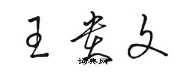 駱恆光王貴文草書個性簽名怎么寫