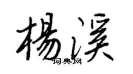 王正良楊溪行書個性簽名怎么寫