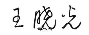 駱恆光王曉光草書個性簽名怎么寫