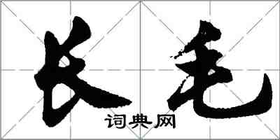 胡問遂長毛行書怎么寫