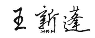 駱恆光王新蓬行書個性簽名怎么寫