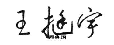 駱恆光王挺宇草書個性簽名怎么寫