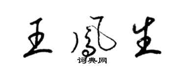 梁錦英王鳳生草書個性簽名怎么寫