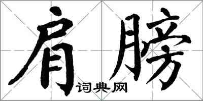 翁闓運肩膀楷書怎么寫