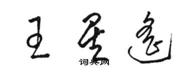 駱恆光王星遙草書個性簽名怎么寫