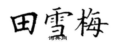 丁謙田雪梅楷書個性簽名怎么寫