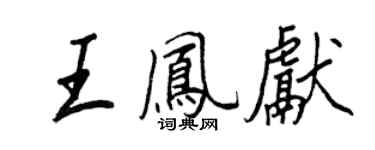 王正良王鳳獻行書個性簽名怎么寫
