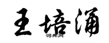 胡問遂王培涌行書個性簽名怎么寫