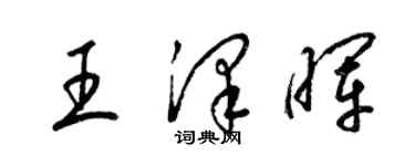 梁錦英王澤暉草書個性簽名怎么寫