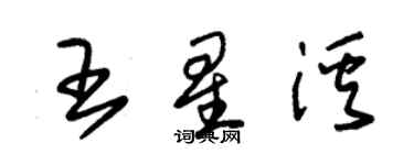 朱錫榮王星溪草書個性簽名怎么寫