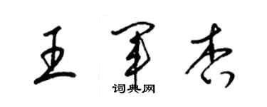 梁錦英王軍杏草書個性簽名怎么寫