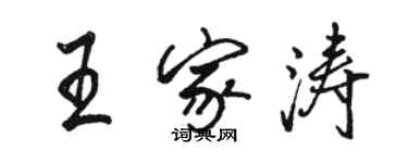 駱恆光王家濤行書個性簽名怎么寫