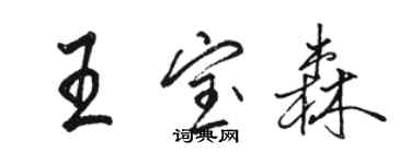 駱恆光王寶森行書個性簽名怎么寫